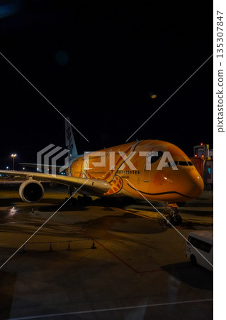 夜間，全日空「海龜號」客機停在成田機場。 135307847