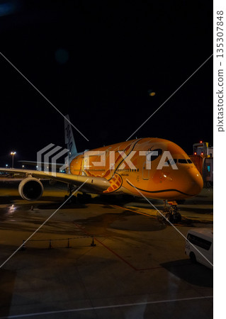 ANA Flying Honu at night at Narita Airport. A parked plane. 135307848