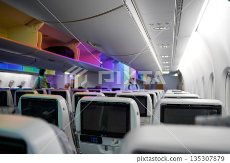 ANA Flying Honu in-flight photos ANA Flying Honu in-flight photos 135307879