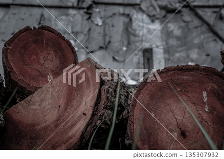 Stack of Xylia xylocarpa Taub (Leguminosae) stumps ready for use in construction. Stack of Xylia xylocarpa Taub (Leguminosae) stumps ready for use in construction. 135307932
