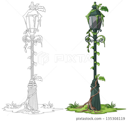 Overgrown Vintage Street Lamp with Creeping Vines Illustration 135308119