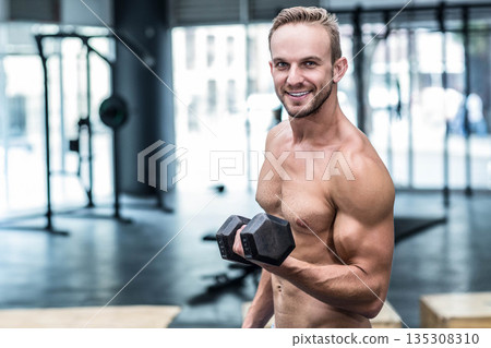 Shirtless mid-20s male lifting hexagonal dumbbell at waist in gym with squat rack and windows Shirtless mid-20s male lifting hexagonal dumbbell at waist in gym with squat rack and windows 135308310