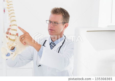 Middle-aged male physician holding plastic spine model and pointing at vertebra in clinic 135308365