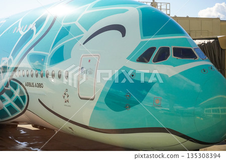 ANA Flying Honu parked in Hawaii ANA Flying Honu parked in Hawaii 135308394
