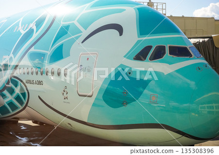 ANA Flying Honu parked in Hawaii ANA Flying Honu parked in Hawaii 135308396