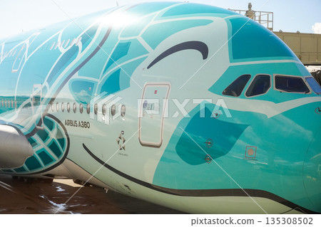 ANA Flying Honu parked in Hawaii ANA Flying Honu parked in Hawaii 135308502