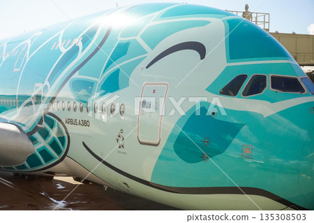 ANA Flying Honu parked in Hawaii ANA Flying Honu parked in Hawaii 135308503