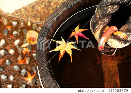 靜靜地漂浮在水盆裡的楓葉 135308779