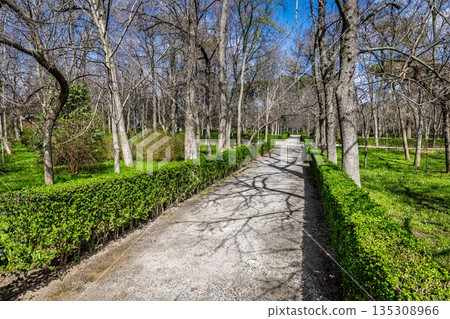 Retiro Park in Madrid 135308966