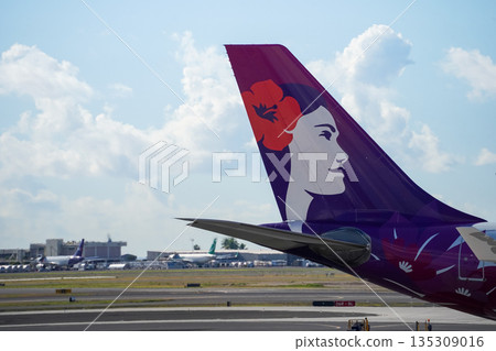 Hawaii Honolulu International Airport Parked Airplane Airport Scenery Travel Image 135309016