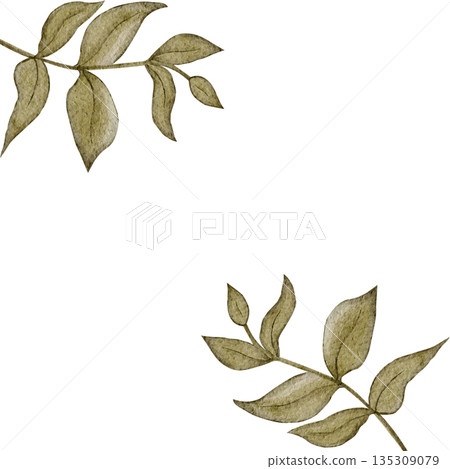 Leaf frame horizontal border, green leaves, watercolor hand-painted illustration isolated on white, botanical design ideal for wedding stationery, invitations, greeting cards, branding Leaf frame horizontal border, green leaves, watercolor hand-painted illustration isolated on white, botanical design ideal for wedding stationery, invitations, greeting cards, branding 135309079