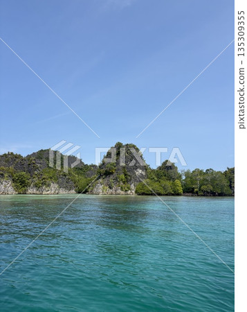 Raja Ampat Papua Sea and Islands 135309355