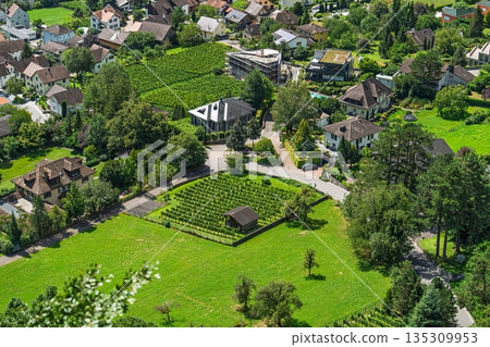 Aerial View of Picturesque Liechtenstein Village with Vineyards and Green Fields, Europe Aerial View of Picturesque Liechtenstein Village with Vineyards and Green Fields, Europe 135309953