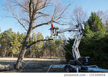 Arborist at Work Pruning Tree Branches with Aerial Lift Platform in Forest Landscape Arborist at Work Pruning Tree Branches with Aerial Lift Platform in Forest Landscape 135309956