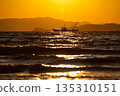 被夕陽染紅的大海 135310151