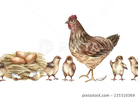 Seamless border with a walking hen and small chicks next to a chicken nest. Hand-drawn watercolor illustration. Design element for packaging, labels, and textiles, also suitable for books, and more. Seamless border with a walking hen and small chicks next to a chicken nest. Hand-drawn watercolor illustration. Design element for packaging, labels, and textiles, also suitable for books, and more. 135310369