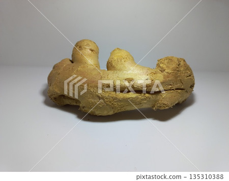 Fresh Ginger Root on White Surface. Close-up of a fresh ginger rhizome placed on a plain white surface with a neutral background. The ginger root features a rough, tan-colored skin and a knobby, irreg Fresh Ginger Root on White Surface. Close-up of a fresh ginger rhizome placed on a plain white surface with a neutral background. The ginger root features a rough, tan-colored skin and a knobby, irreg 135310388
