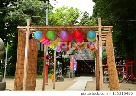 盛岡天滿宮的燈籠裝飾以長相獨特的獅子狗為主題 盛岡天滿宮的燈籠裝飾以長相獨特的獅子狗為主題 135310490