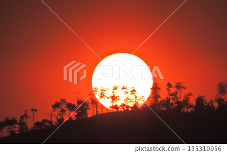 beautiful view of the sunrise from the hill 135310956