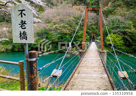 島根縣春季橫跨立育峽的不老橋 島根縣春季橫跨立育峽的不老橋 135310958