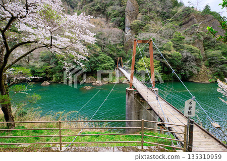 <Shimane Prefecture> Furo Bridge spanning Tachikue Gorge in spring 135310959