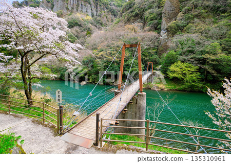 島根縣春季橫跨立育峽的不老橋 島根縣春季橫跨立育峽的不老橋 135310961