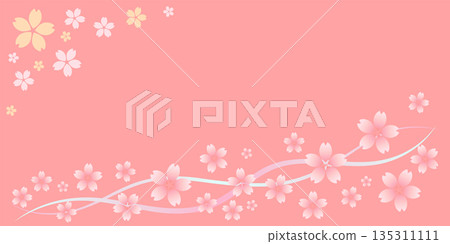 Pink background material illustration of cherry blossoms and wavy lines Pink background material illustration of cherry blossoms and wavy lines 135311111