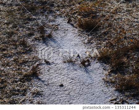 阿寒湖岸邊的凍土與腳印 阿寒湖岸邊的凍土與腳印 135311244