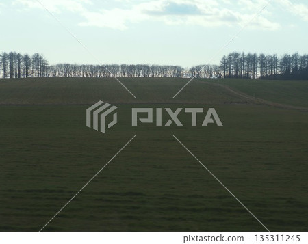 秋末時節,從旅遊巴士車窗望出去,可以看到北海道草原的景色。 秋末時節,從旅遊巴士車窗望出去,可以看到北海道草原的景色。 135311245