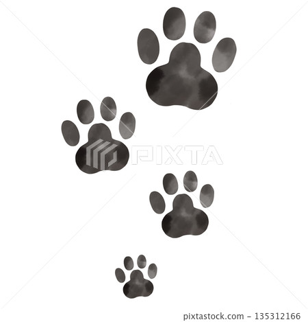 Watercolor illustration of paw prints arranged vertically in large and small sizes 135312166