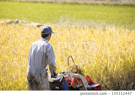 Image of rice harvesting: A man harvesting rice using a hand-pushed rice harvester binder 135312447