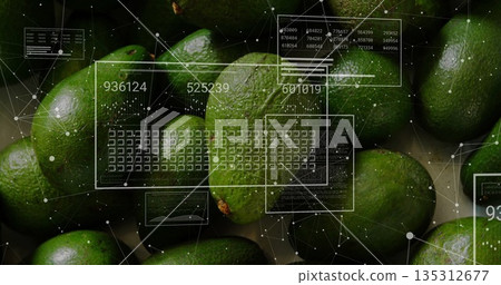 Displaying green limes filling macro frame, with numeric UI panels, grid overlays and node network Displaying green limes filling macro frame, with numeric UI panels, grid overlays and node network 135312677