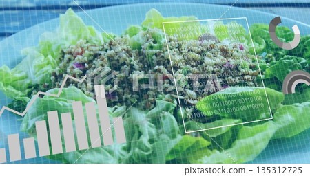 Displaying lettuce salad with grain mix in studio under binary code chart and progress overlays 135312725