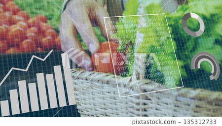 Reaching hand picking tomatoes and lettuce from wicker basket at market stall, with data overlays 135312733