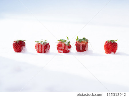 Red strawberries in the snow Red strawberries in the snow 135312942