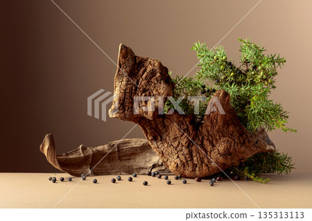 Juniper branches with berries and old wooden snags on a beige background. 135313113