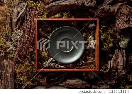 Abstract natural composition featuring lichen, moss, and dry snags. Abstract natural composition featuring lichen, moss, and dry snags. 135313114
