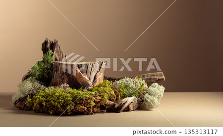 Composition with natural wooden snags and moss for advertising eco products. 135313117