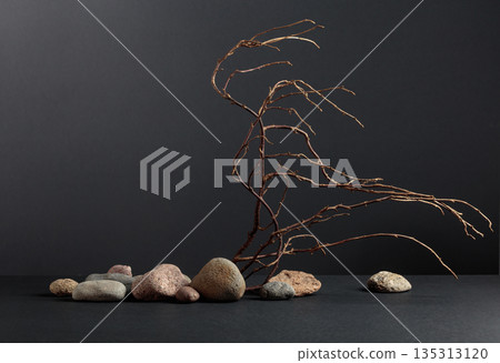 An intricately entwined branches and smooth stones against a black background. An intricately entwined branches and smooth stones against a black background. 135313120