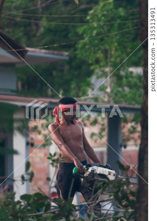 Suratthani, Thailand- December 08, 2025: A logger stands holding a chainsaw among the rubber trees. 135313491