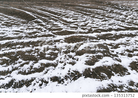 Snow blowing onto a sandy beach - Film-like Snow blowing onto a sandy beach - Film-like 135313752