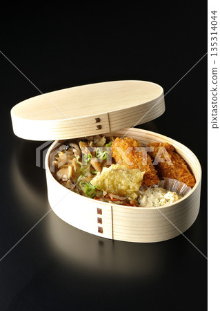 蘑菇飯和炸蠔便當,以黑色背景拍攝 蘑菇飯和炸蠔便當,以黑色背景拍攝 135314044