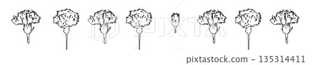 Mother's Day carnation hand-drawn line drawing illustration material (frame, wreath, bouquet, etc.) Mother's Day carnation hand-drawn line drawing illustration material (frame, wreath, bouquet, etc.) 135314411