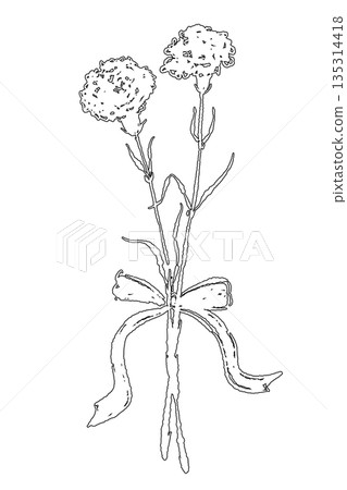 Mother's Day carnation hand-drawn line drawing illustration material (frame, wreath, bouquet, etc.) Mother's Day carnation hand-drawn line drawing illustration material (frame, wreath, bouquet, etc.) 135314418