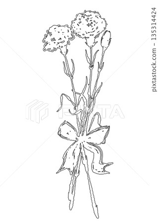 Mother's Day carnation hand-drawn line drawing illustration material (frame, wreath, bouquet, etc.) 135314424