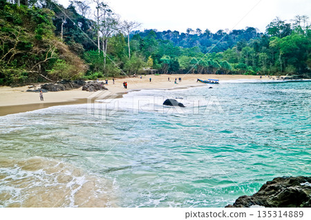 beautiful view of Green Bay Beach, Banyuwangi, East Java, Indonesia beautiful view of Green Bay Beach, Banyuwangi, East Java, Indonesia 135314889