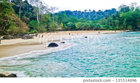 beautiful view of Green Bay Beach, Banyuwangi, East Java, Indonesia beautiful view of Green Bay Beach, Banyuwangi, East Java, Indonesia 135314896