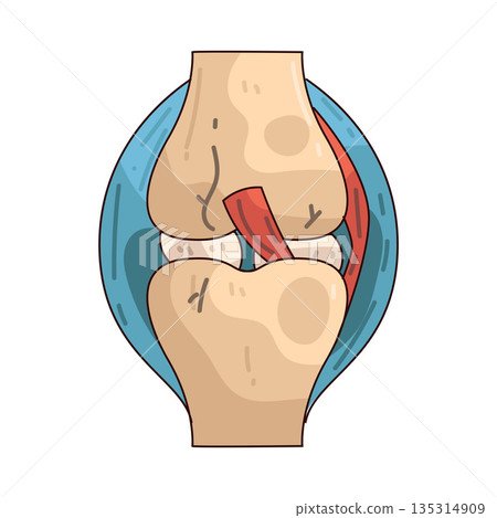 illustration of joint pain illustration of joint pain 135314909