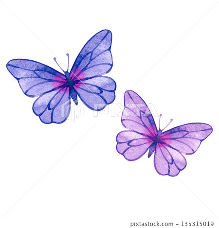 Hand-painted watercolor illustration of two delicate purple butterflies with vibrant magenta centers. These graceful insects feature detailed wing veining, perfect for spring-themed designs and 135315019
