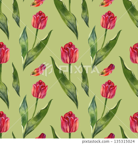 Elegant seamless watercolor pattern featuring vibrant red tulips and lush green leaves. Hand-painted botanical design with a repeat tile, perfect for spring textiles, romantic wallpaper, and floral Elegant seamless watercolor pattern featuring vibrant red tulips and lush green leaves. Hand-painted botanical design with a repeat tile, perfect for spring textiles, romantic wallpaper, and floral 135315024